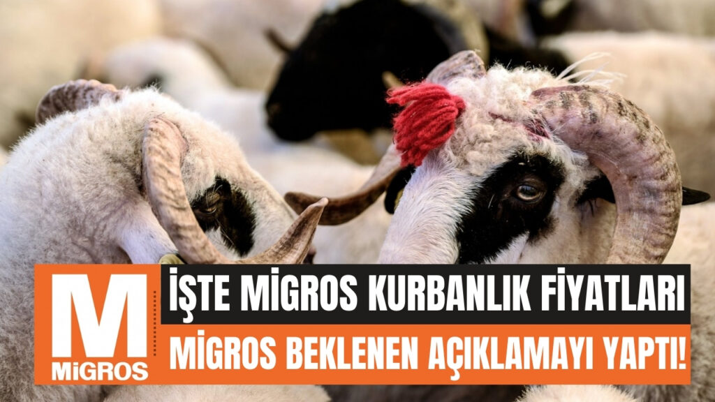 Migros Kurbanlık Fiyatları 2024